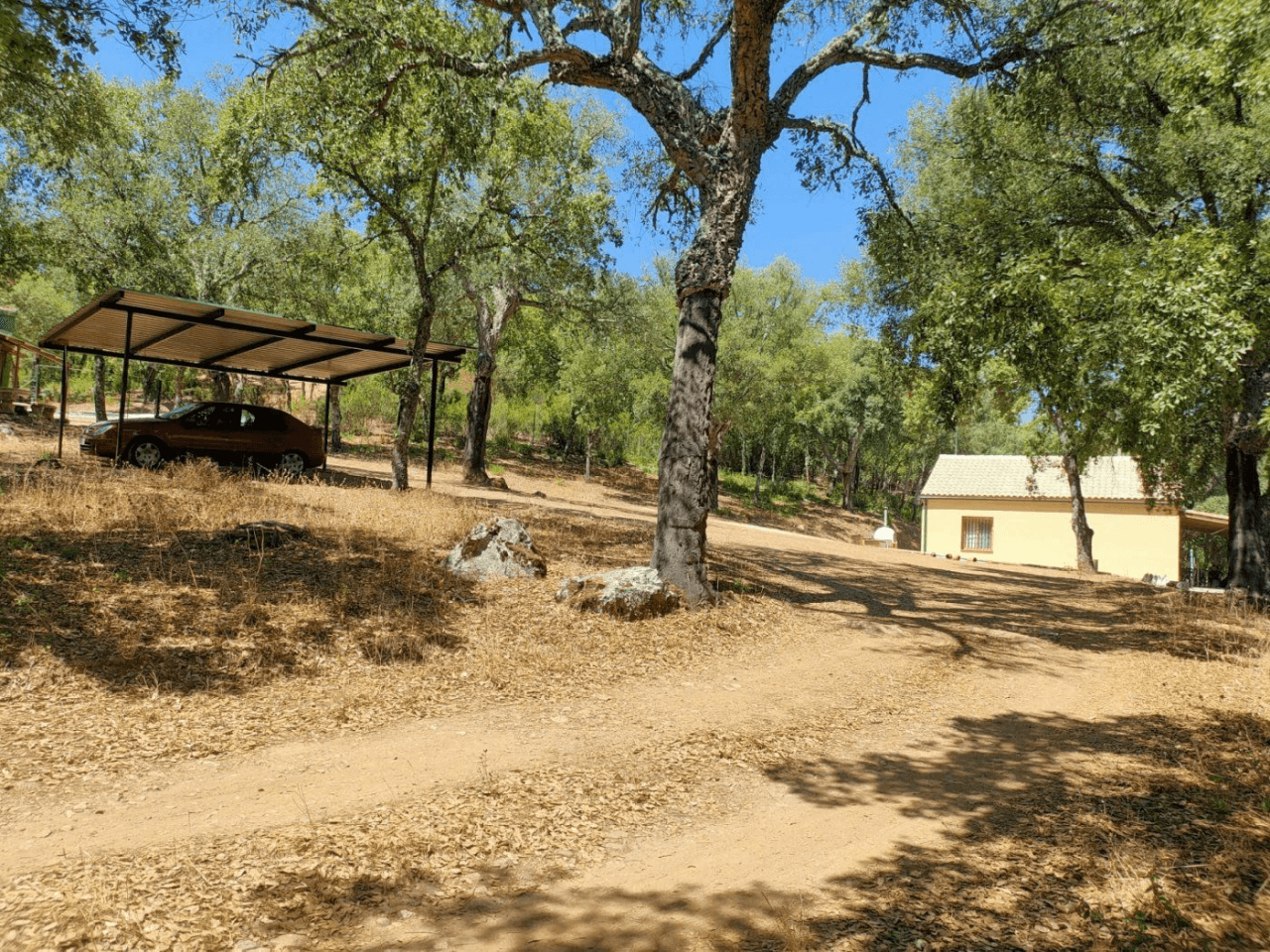Encantadora finca rústica con chalet en Fuencaliente: Naturaleza, privacidad y confort